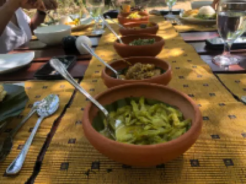 Big Game - Wilpattu by Eco Team