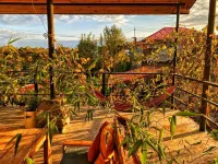 Varga Kvareli Hotels in Almati