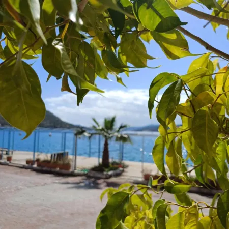 Yazıcı Otel Bozburun