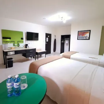 Maya Tulipanes Express