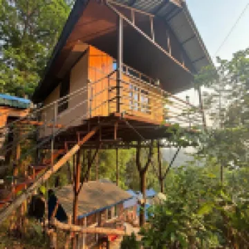 Jungle Crown Organic Homestay