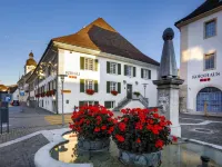 Hotel Balsthal Отели в г. Бальсталь