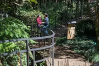 Kuriuwa Hotel Hotels in Monte Verde