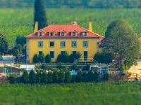 Solar Quinta da Portela - Douro Hotels in Abaças