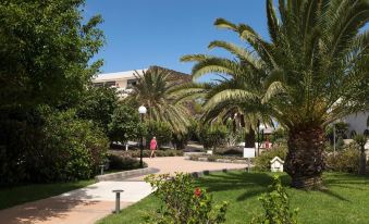 Los Zocos Impressive Lanzarote