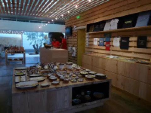 Born to Stay in Milfontes