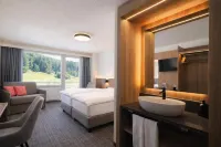 Hotel Alpina Parpan - parking