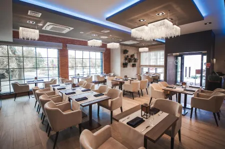 Hotel Przy Młynie Отели в г. Водзислав-Сленски