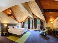 Hot Springs Medical and Spa Hotels in Razlog