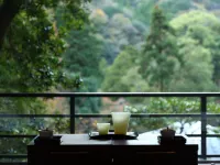 Oku Yugawara Tsubaki - Mountain view