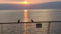 Gai Beach Hotel - Bergblick