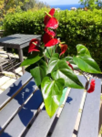 Point Twins Apartments