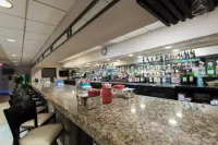 Wyndham Garden Romulus Detroit Metro Airport - bar