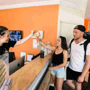 MAD Monkey Broadway Others