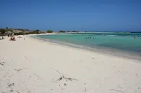 Fuego Mio Bed & Breakfast Hotels in Sint Nicolaas