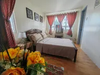 Casa Felicitas 3 -Spacious Comfy Cosy 2 Bdr Unit at Seawind Condominium Hotels in 