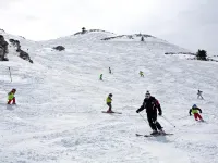 アパルタメントス バジェ デ テナ ビエスカス 3000 ビエスカスのホテル