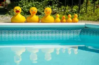Brook Farm Inn - Pools