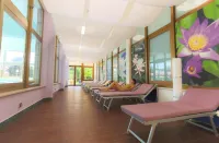 Hotel Terme Antoniano - Spa