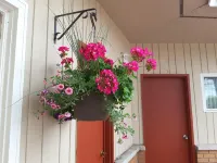 Pine Grove Motel Hotels in Sault Ste. Marie