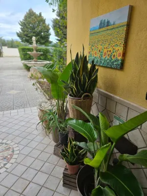 Garden Inn - Guest houses