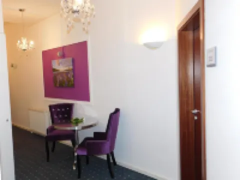 Hotel Maison LeMi Hotels in Altenburg