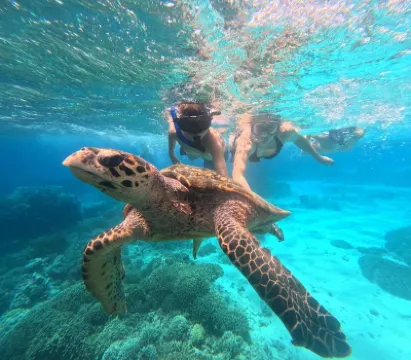 The Gili Menjangan Hotels near Menjangan Island
