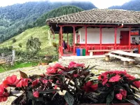 La Laguna Hostal - Homestays