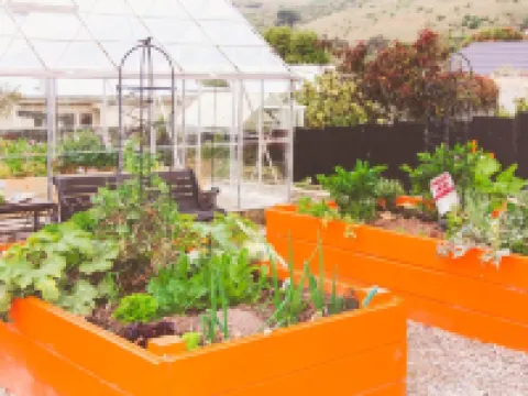 Oamaru Backpackers Hotels in Oamaru