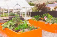 Oamaru Backpackers Hotel a 