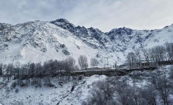 Cozy Hotel Kazbegi