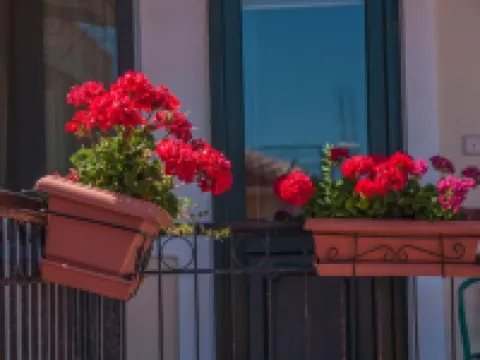 Heliotrope the Studios Hotels in Lesbos