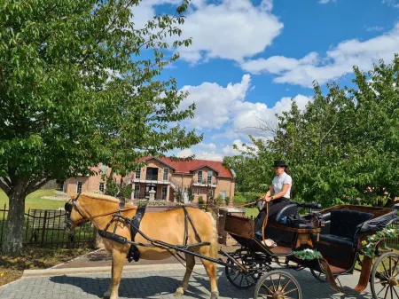 Kur-& Landhotel Borstel - Treff Отели в г. Людвигслуст-Пархим