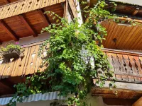Pension Leopoldine Hotel a Hallstatt