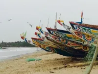 Nemasu Eco-Lodge Hotels in Kombo South
