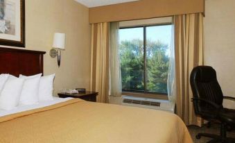 Quality Inn & Suites