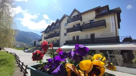 Hotel Olimpic Отели в г. Сегондзано