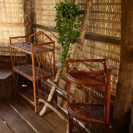 Kactus-Your Island Sanctuary on Koh Ta Kiev
