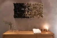 포르나체 스위트