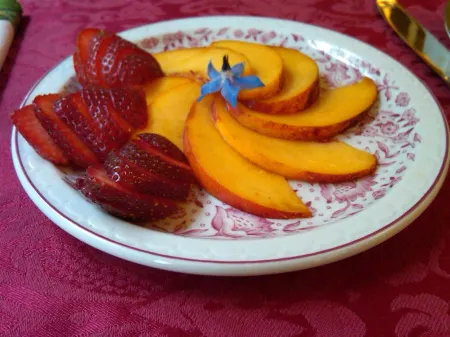 Kangaroo House Bed & Breakfast