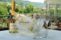 Brutsches Rebstock Hotels in Bad Säckingen