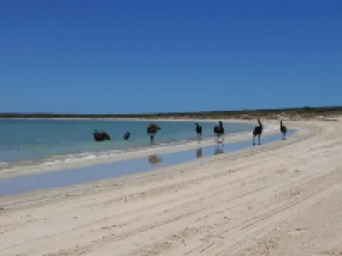 On the Deck @ Shark Bay Hotéis em Denham