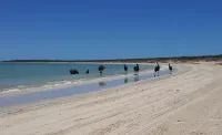 On the Deck @ Shark Bay