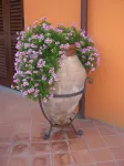 Il Casale dei Conti Hotels in Tonnarella