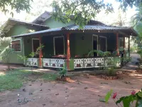 Green Bamboo House