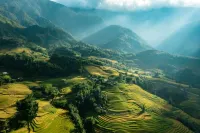 Sapa Harmony Hostel