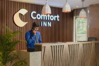 Comfort Inn Elite Hotels in Bainguinim