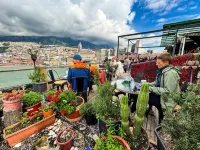 The Secret Garden Hotels in 