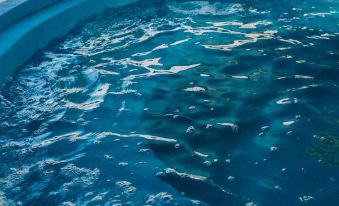 Howard Johnson by Wyndham Yerba Buena