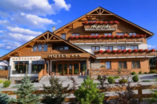 Hotel Alpejski のホテル